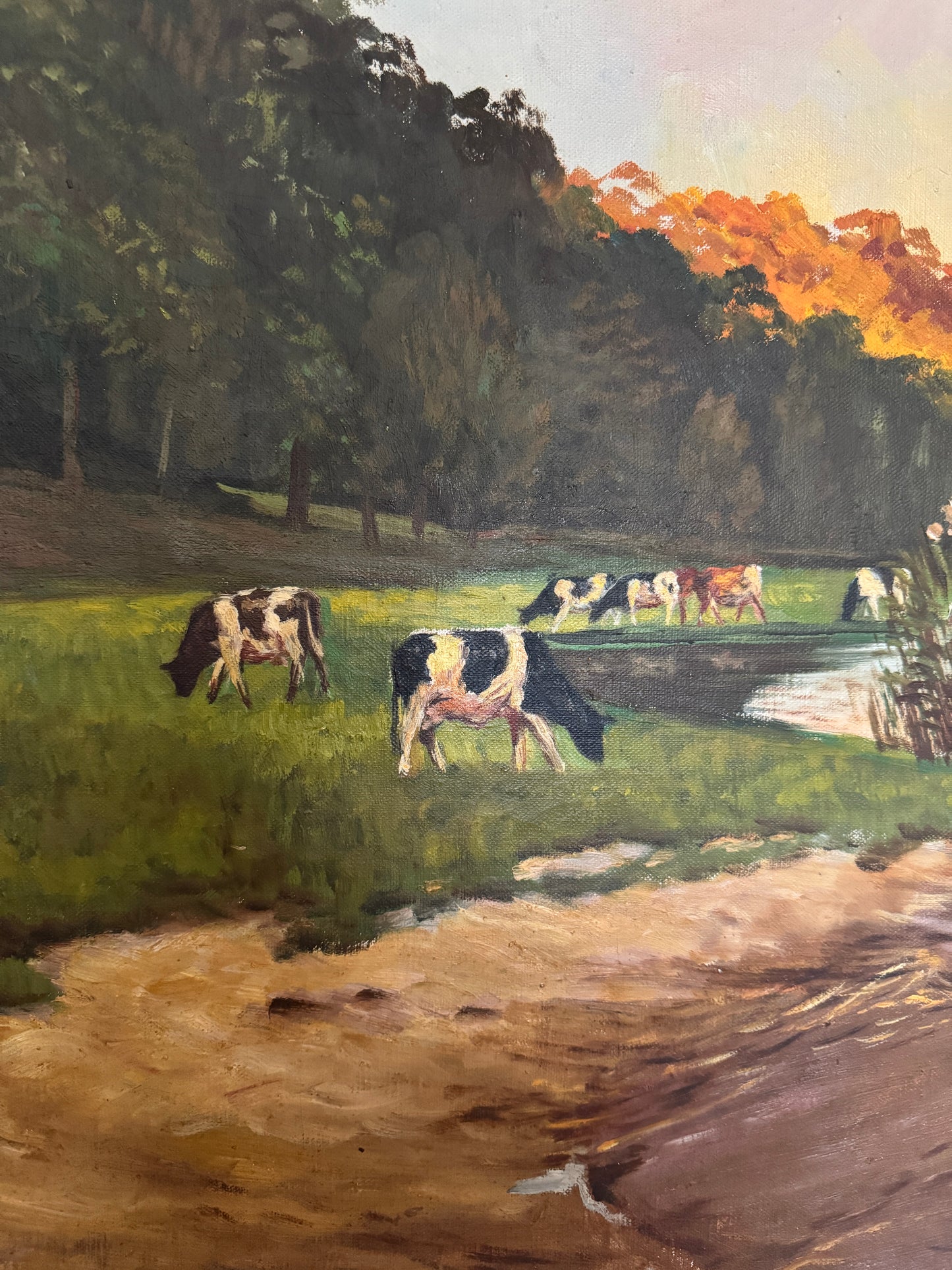 Cows by the Lake