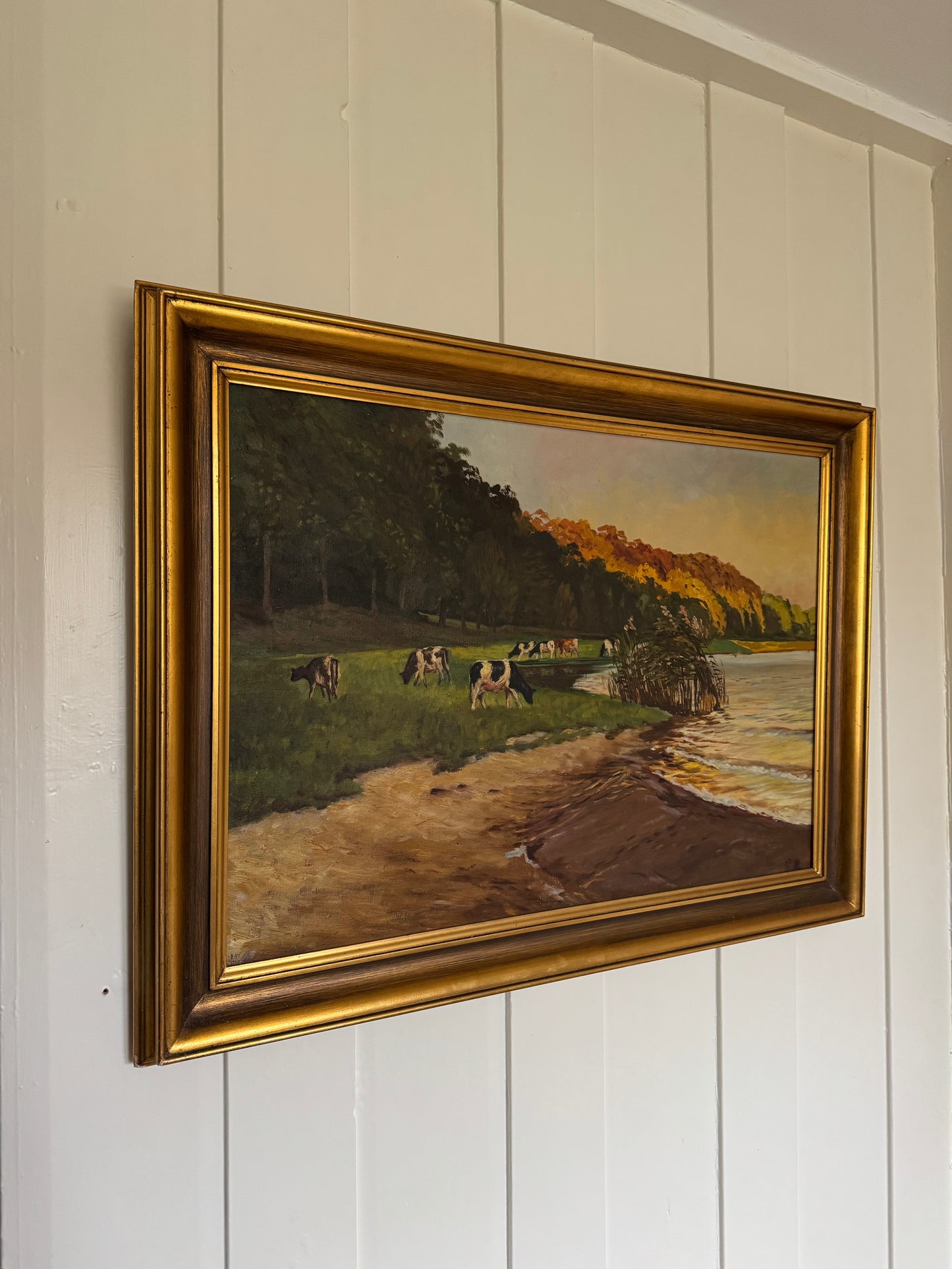 Cows by the Lake