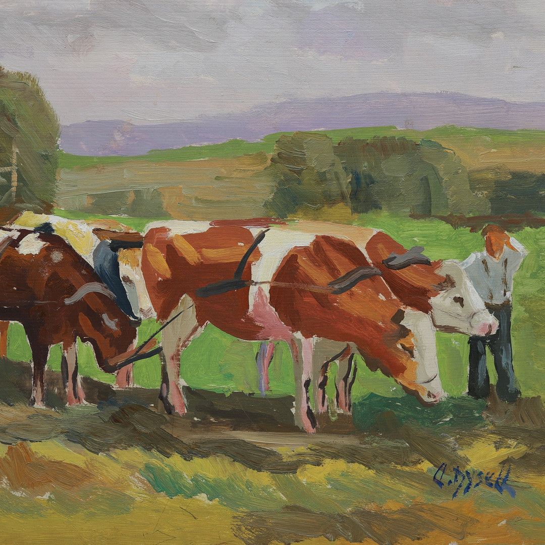 Cows at Harvest