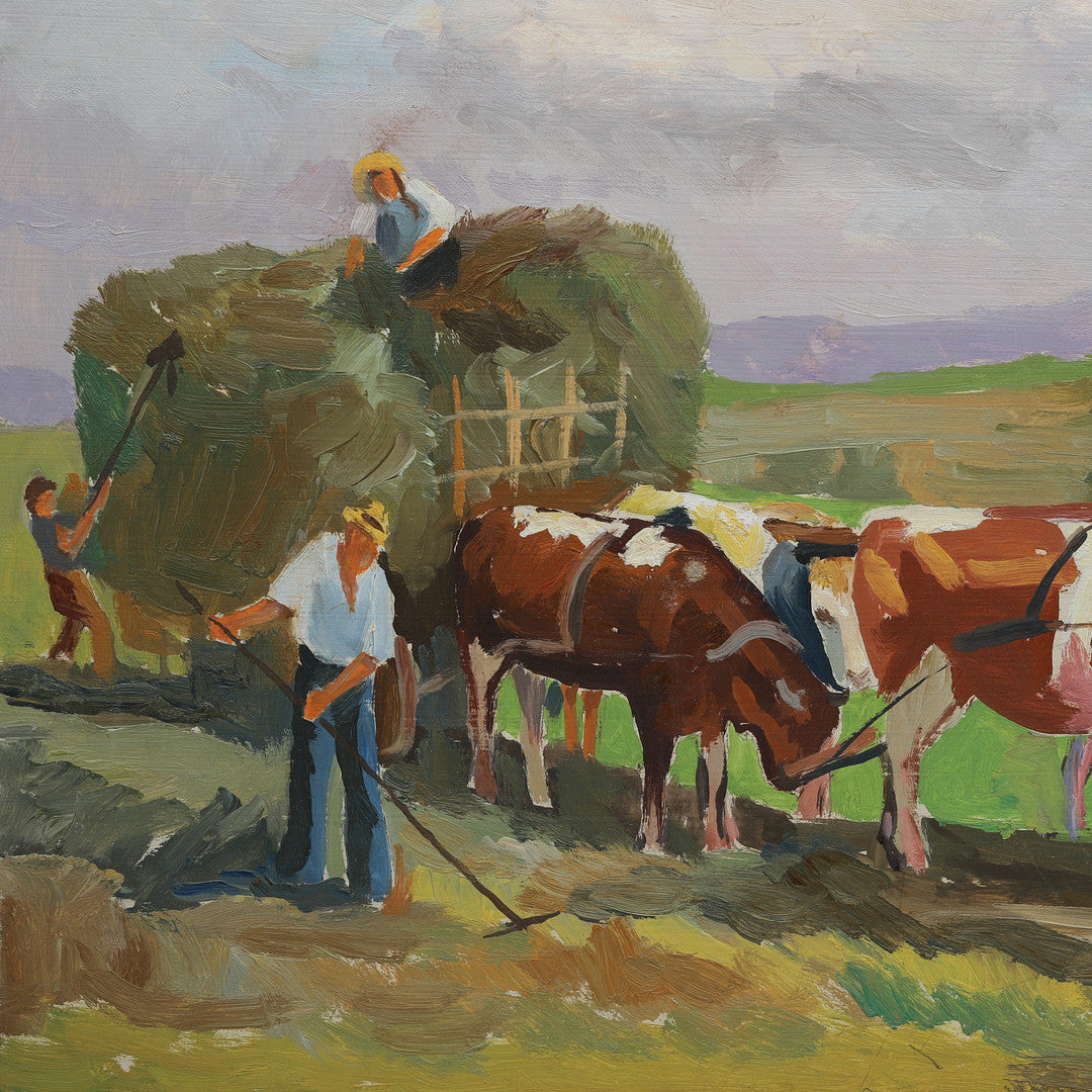 Cows at Harvest