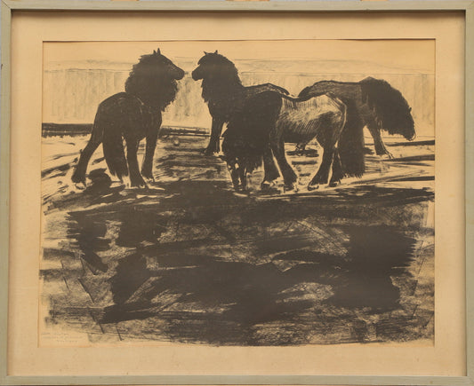 Wild Horses