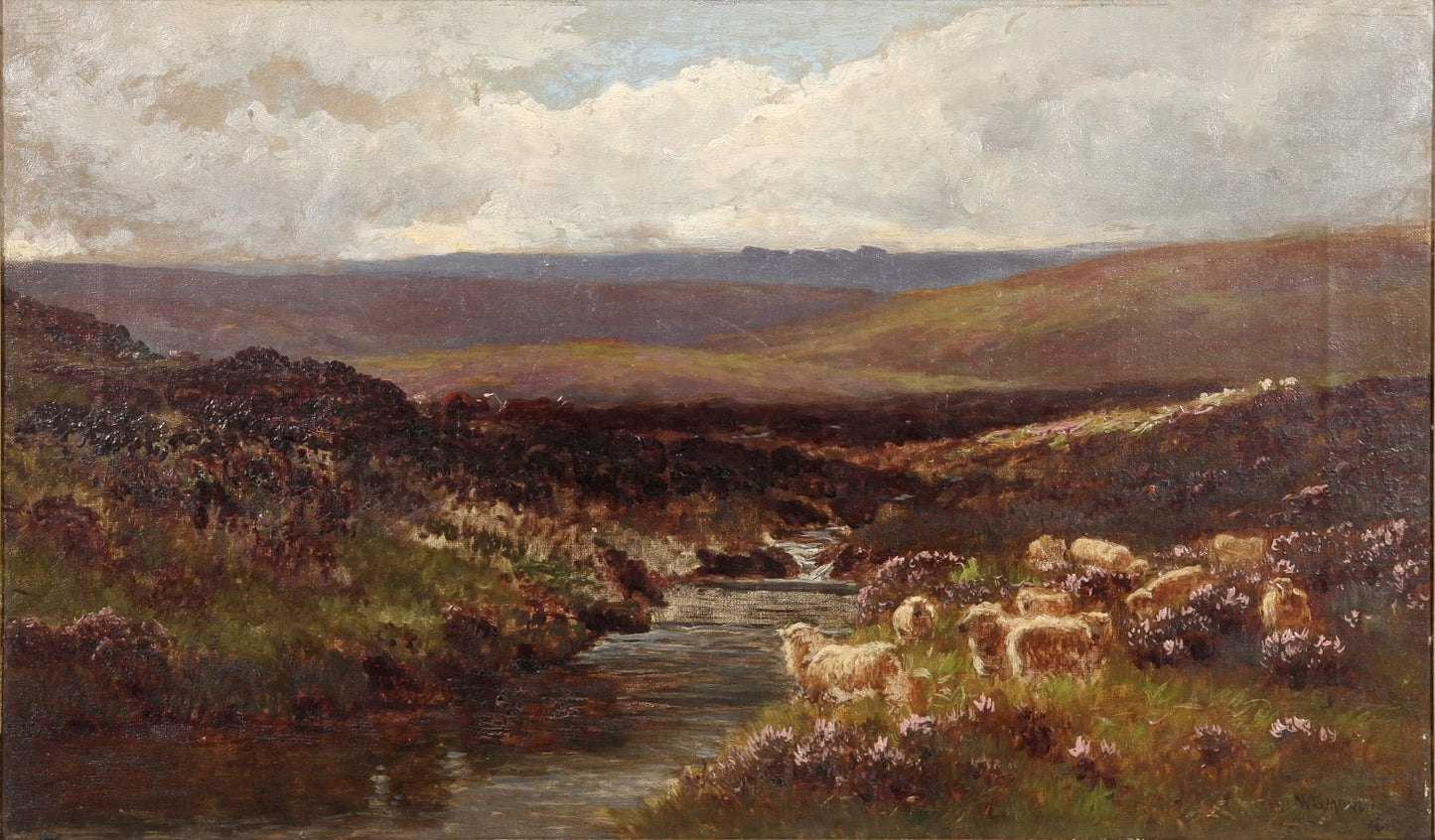 Sheep on the Moor