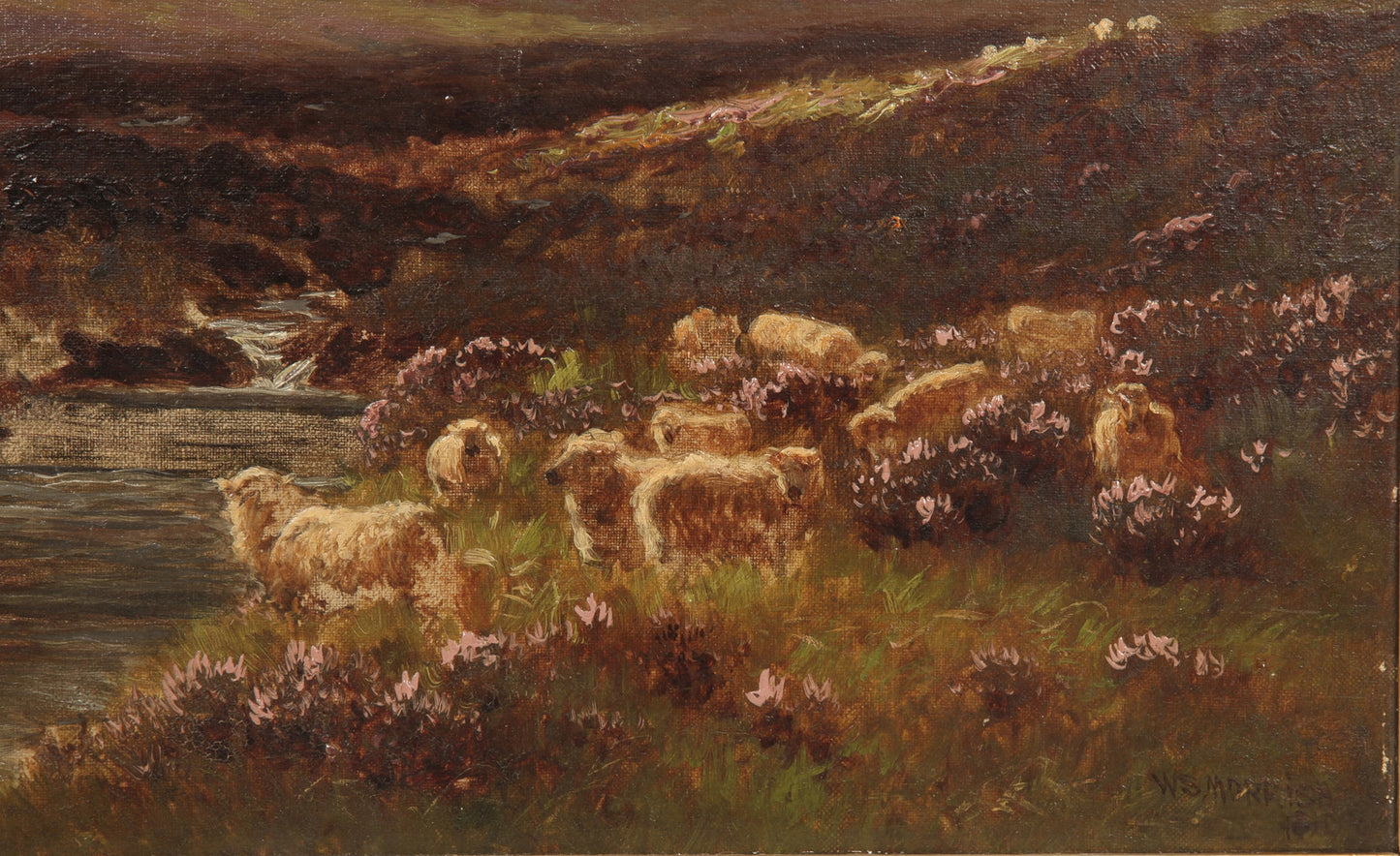Sheep on the Moor