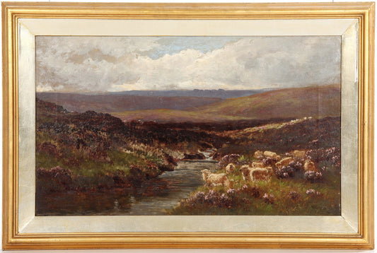 Sheep on the Moor
