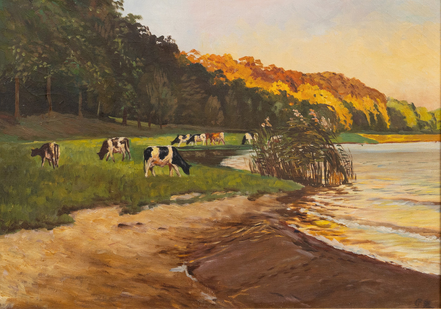 Cows by the Lake