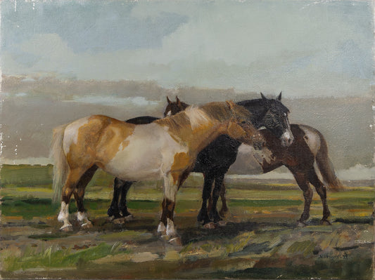 Ponies