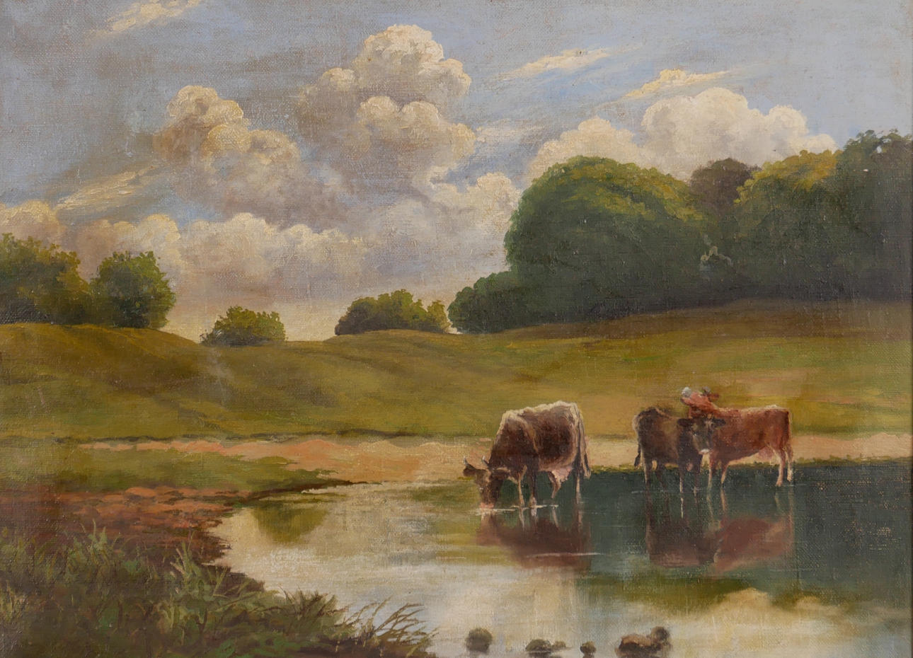 Cows At The Lake
